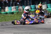 20110501_ales_agnus (3118)